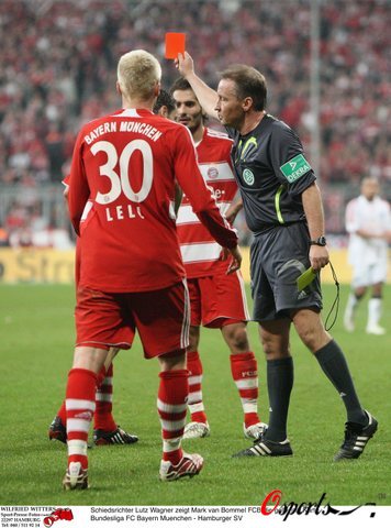 了浙江队 了浙江队