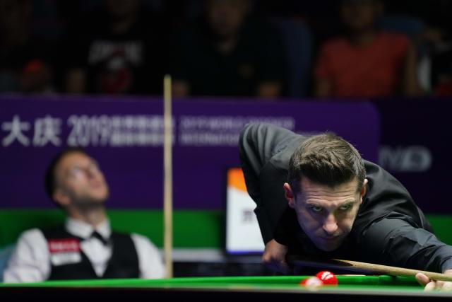 毛球传奇 毛球传奇